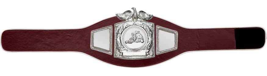PROEAGLE JIU JITSU CHAMPIONSHIP BELT - PROEAGLE/S/JJS - AVAILABLE IN 6+ COLOURS PROEAGLE JIU JITSU CHAMPIONSHIP BELT - PROEAGLE/S/JJS - AVAILABLE IN 6+ COLOURS